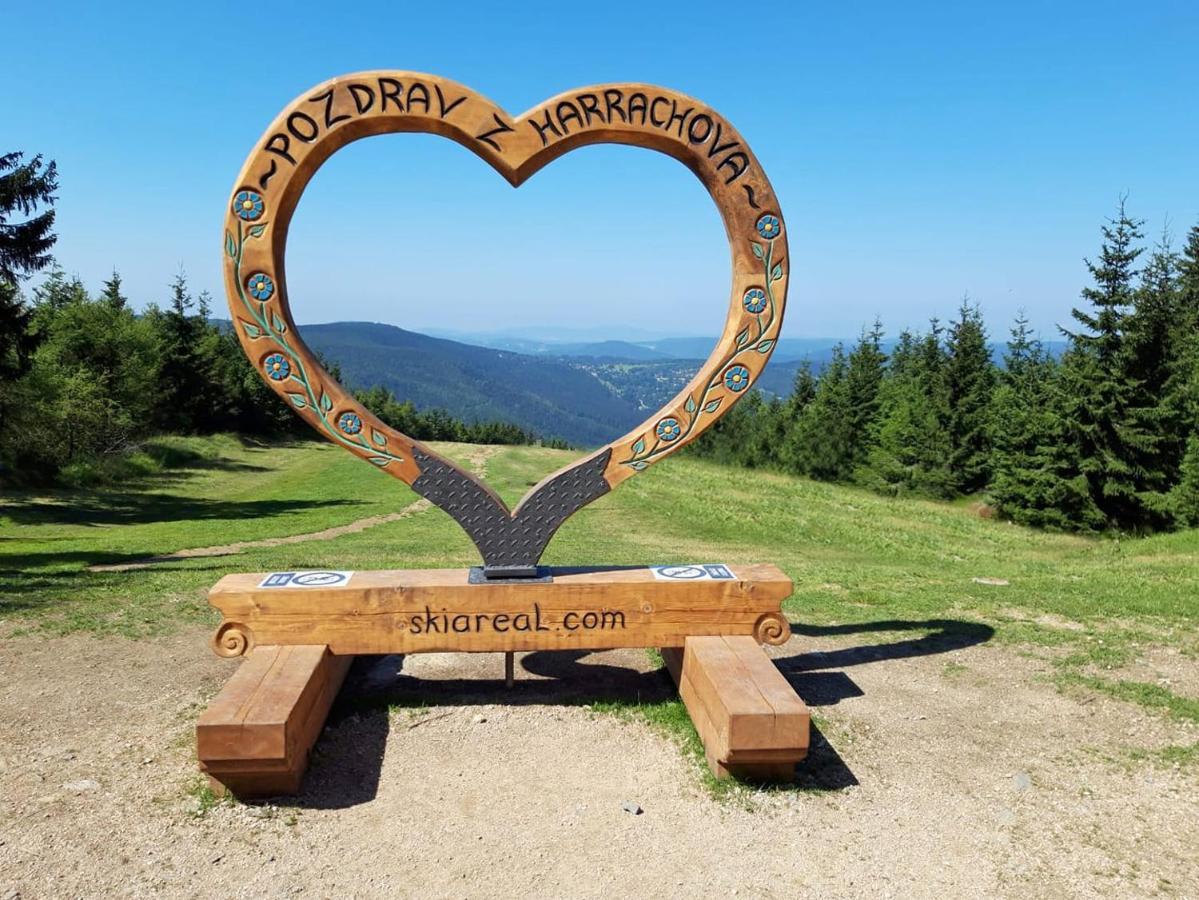 Enjoyharrachov - Atraktivni Klidny Klimatizovany Apartman 20 V Centru Harrachova S Parkovanim, Wifi-Wlan, Sat, Herni Konzoli, Ipad, Netflix Zdarma, Moznosti Dobijeni Auta, Vyhledem Do Zahrady A Na Romanticky Kostelik Bagian luar foto