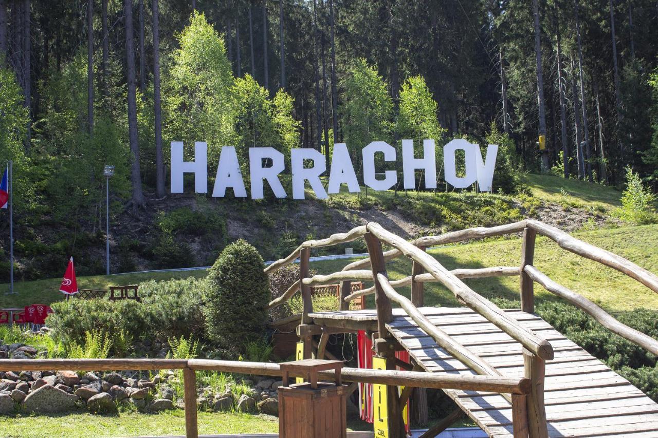 Enjoyharrachov - Atraktivni Klidny Klimatizovany Apartman 20 V Centru Harrachova S Parkovanim, Wifi-Wlan, Sat, Herni Konzoli, Ipad, Netflix Zdarma, Moznosti Dobijeni Auta, Vyhledem Do Zahrady A Na Romanticky Kostelik Bagian luar foto