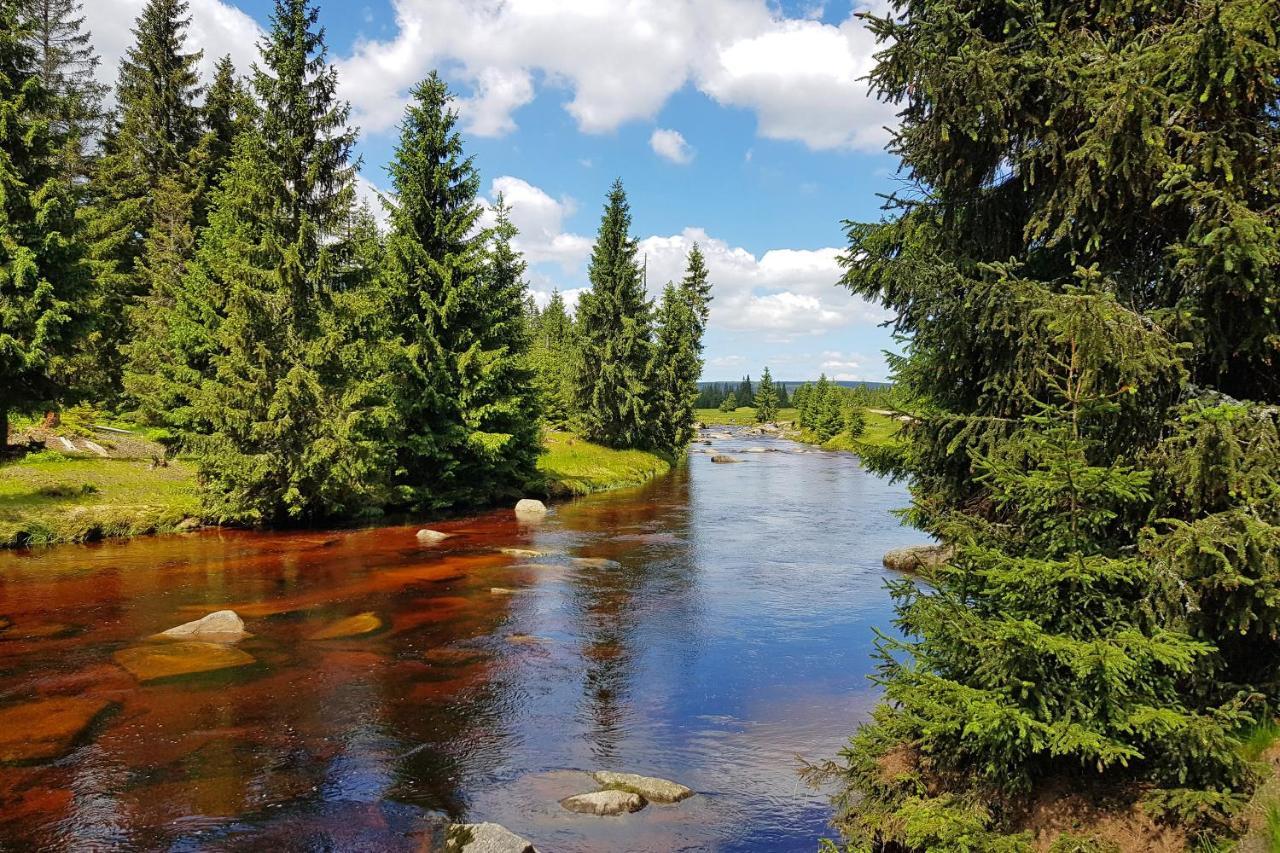 Enjoyharrachov - Atraktivni Klidny Klimatizovany Apartman 20 V Centru Harrachova S Parkovanim, Wifi-Wlan, Sat, Herni Konzoli, Ipad, Netflix Zdarma, Moznosti Dobijeni Auta, Vyhledem Do Zahrady A Na Romanticky Kostelik Bagian luar foto